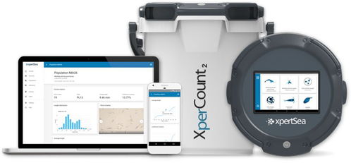 物聯(lián)互聯(lián)，智能養(yǎng)殖 網(wǎng)絡(luò)技術(shù)如何重塑現(xiàn)代水產(chǎn)養(yǎng)殖業(yè)